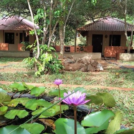 Hotel Niyagala Lodge Sigiriya Exterior foto