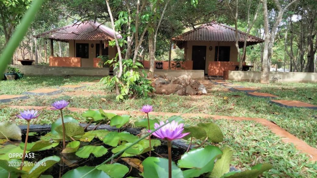 Hotel Niyagala Lodge Sigiriya Exterior foto
