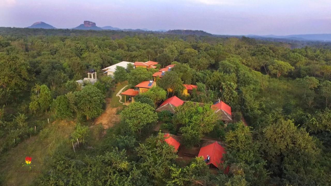 Hotel Niyagala Lodge Sigiriya Exterior foto